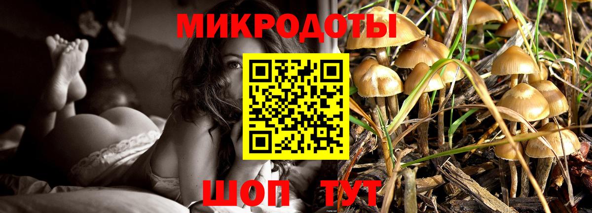 Тверь  Псилоцибиновые грибы прущие грибы  где можно купить наркотик  Вход с VPN 