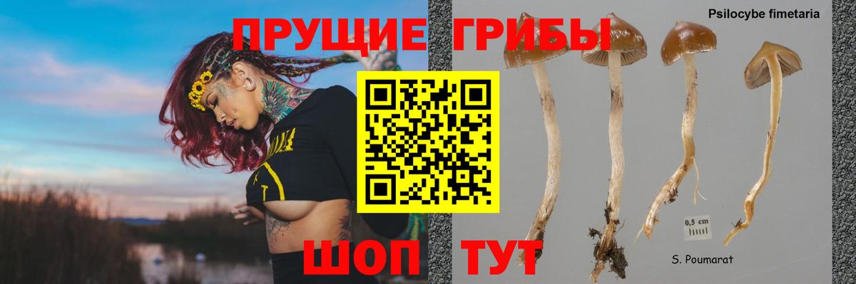 Псилоцибиновые грибы ЛСД Тверь